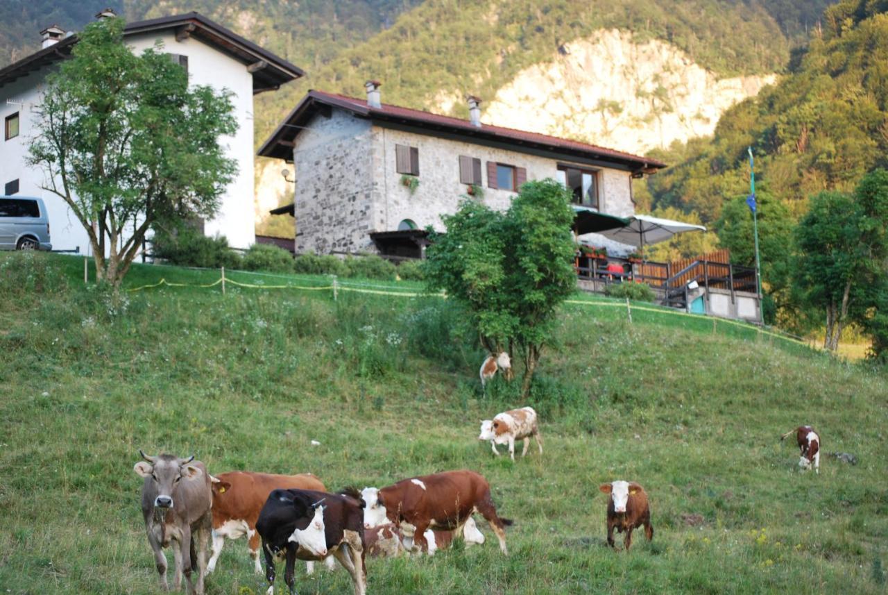 Rifugio Malga Grasia Caprizi Bagian luar foto