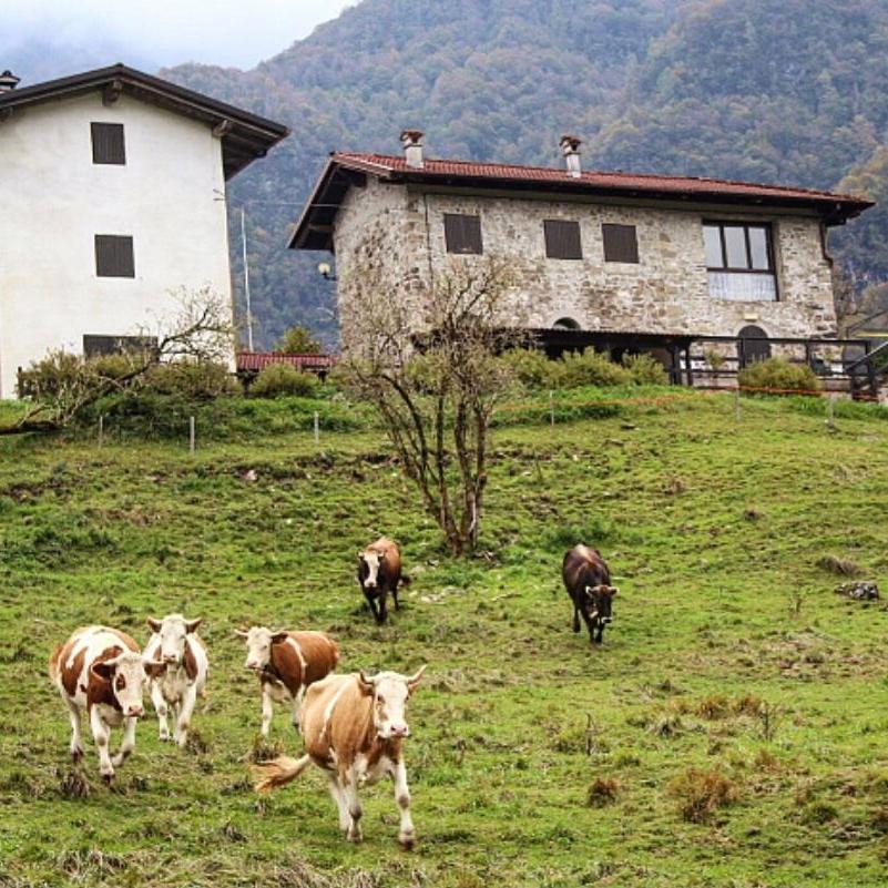 Rifugio Malga Grasia Caprizi Bagian luar foto